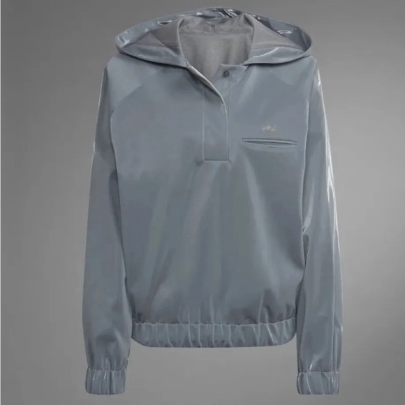 Men Adidas Blue Version Halfzip Gender Neutral Unisex Hoodie HM9220 Grey Size M